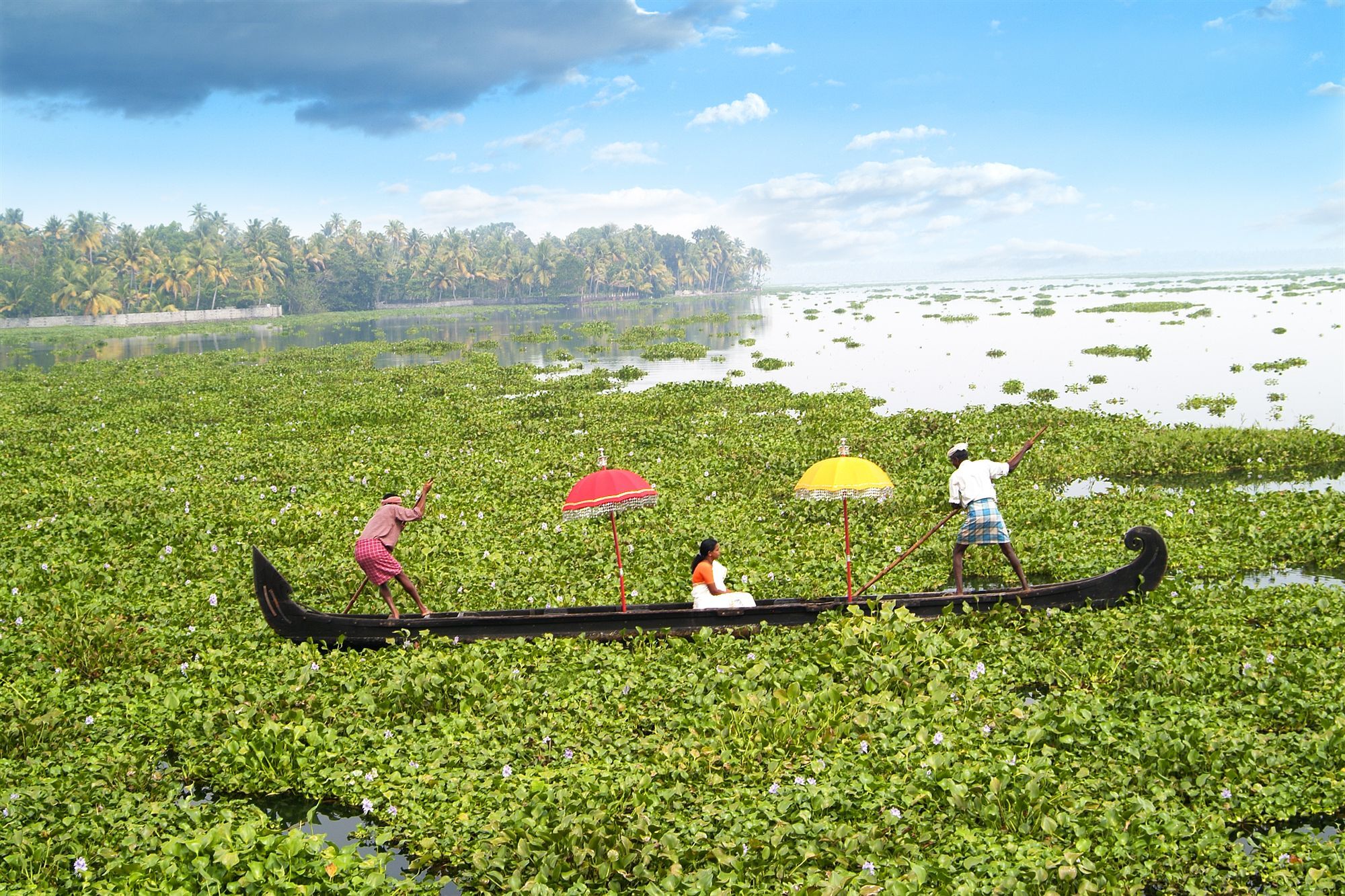 Purity At Lake Vembanad Mararikulam Exterior photo