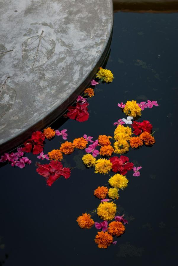 Purity At Lake Vembanad Mararikulam Exterior photo